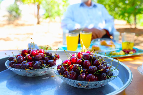 Foto - Medeniyetler beşiğinde bu sene hasat erken geldi
