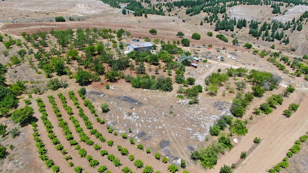 Foto - Medeniyetler beşiğinde bu sene hasat erken geldi