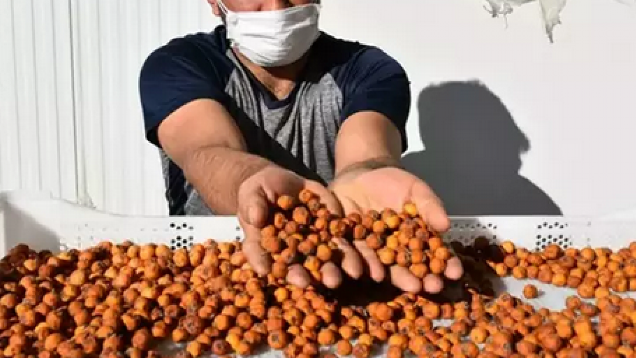 Foto - Meğer böyle tüketmek en doğrusuymuş: Herkes sirkesini yapıyor ama marmelatı daha faydalı! Neler oluyor dedirten şifa!