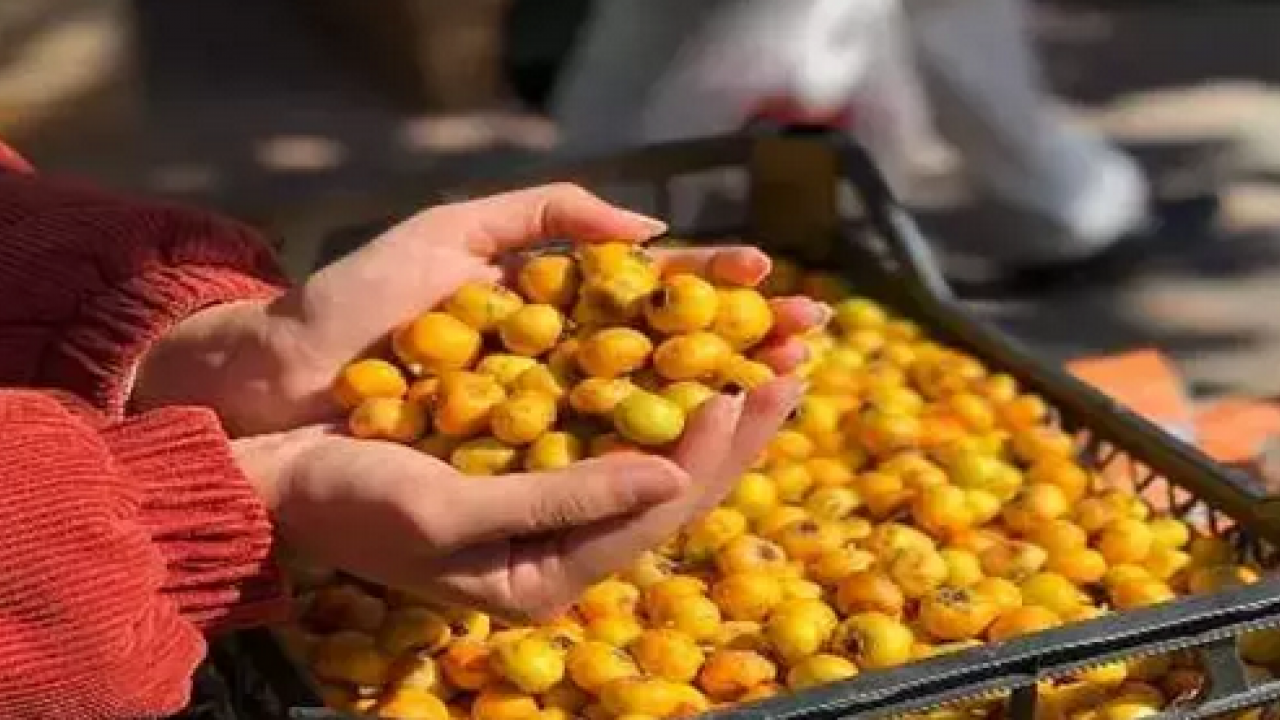 Foto - Meğer böyle tüketmek en doğrusuymuş: Herkes sirkesini yapıyor ama marmelatı daha faydalı! Neler oluyor dedirten şifa!