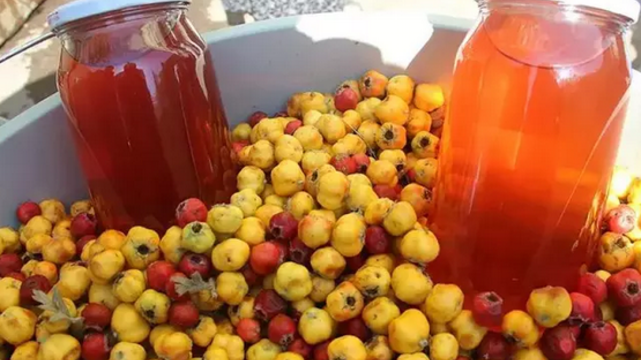 Meğer böyle tüketmek en doğrusuymuş: Herkes sirkesini yapıyor ama marmelatı daha faydalı! Neler oluyor dedirten şifa!