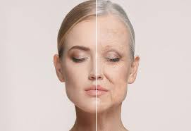 Foto - Meğer bu besin kolajen zenginiymiş: Adeta doğal bir 'gençlik aşısı'! Fark ne? Hemen kolajeni kontrol altına aldı