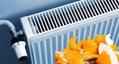 Foto - Meğer bu işe yarıyormuş! Kalorifer peteklerinin üzerine mandalina kabuğu koyanlar hayretler içinde kalıyor