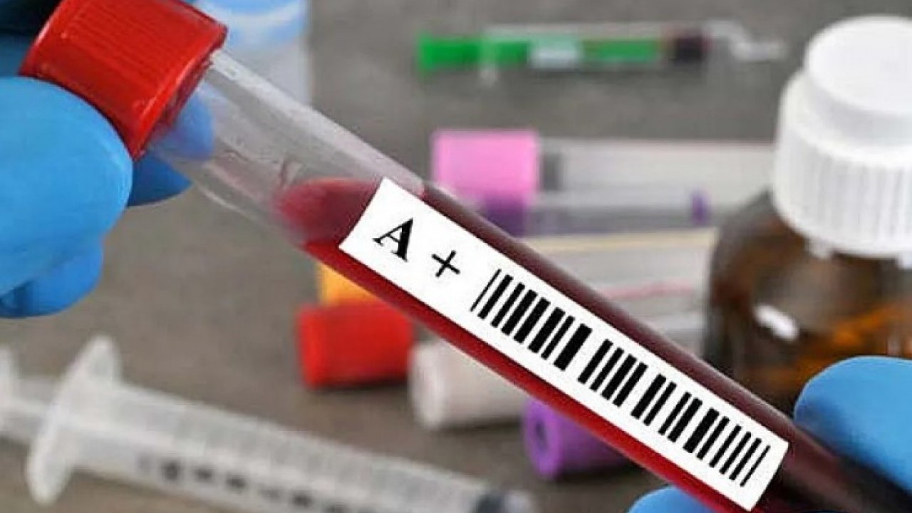 Foto - Japon bilim adamları açıkladı: İşte kan gurubunuza göre ideal meslekler!