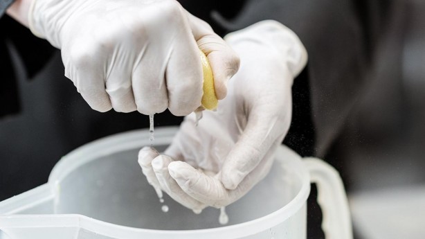 Meğer doğru yöntem buymuş: Limon böyle sıkılırsa suyu bol bol akıyor!