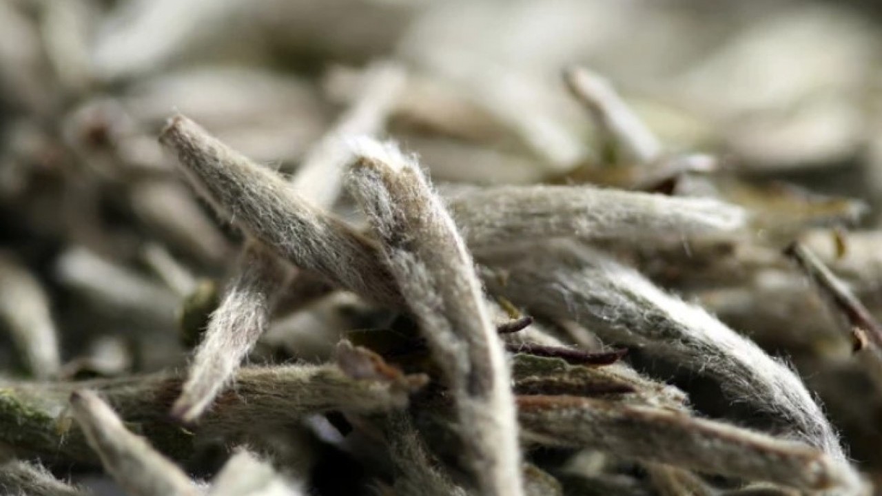 Foto - Meğer hepsinin yayrarı farklıymış: İşte çayın rengine göre şifa haritası! 