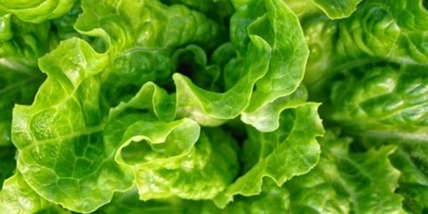 Foto - Meğerse natürel antidepresanmış! Bunu yaparsak öyle bir şifa ki duyan şok oldu! O olay tarif nasıl yapılır?