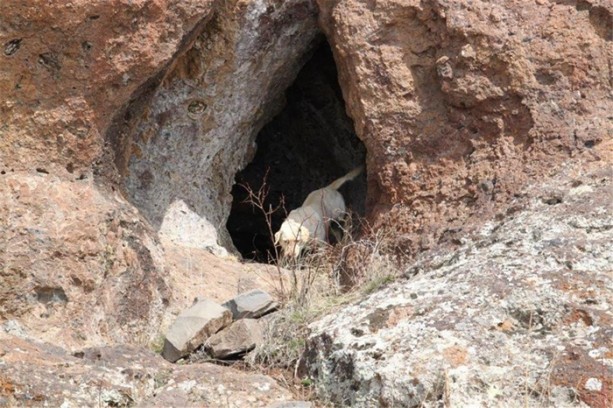 Foto - Mehmetçik PKK'nın inine girdi