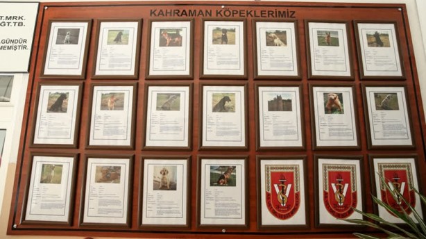 Foto - Mehmetçik'i hain tuzaklardan kurtardılar