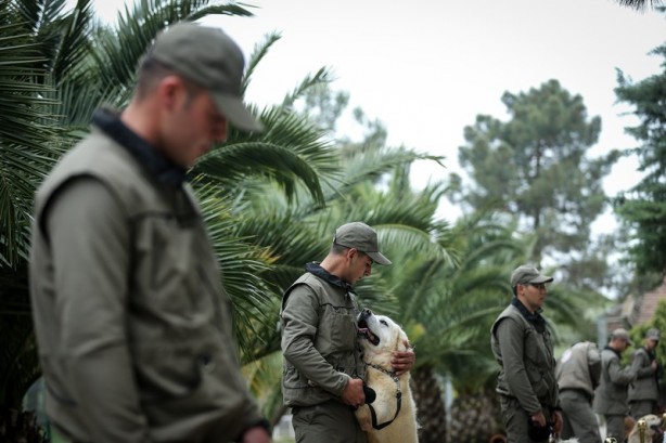 Foto - Mehmetçik'i hain tuzaklardan kurtardılar