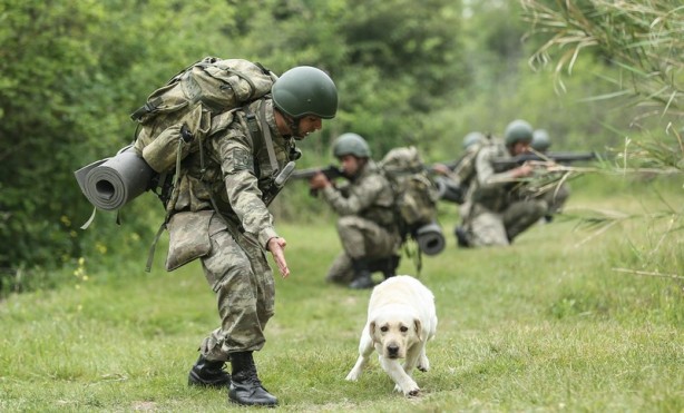 Foto - Mehmetçik'i hain tuzaklardan kurtardılar