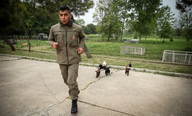 Foto - Mehmetçik'i hain tuzaklardan kurtardılar