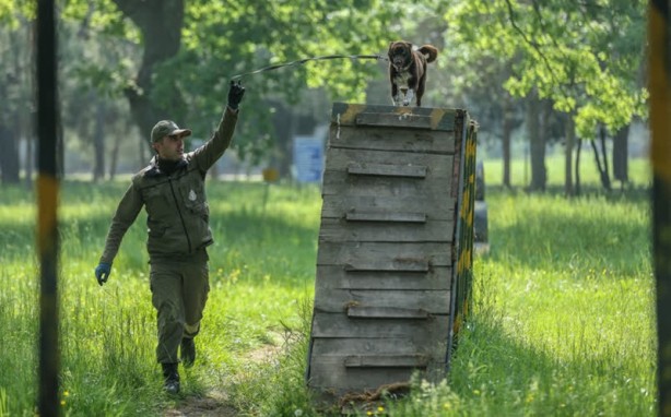 Foto - Mehmetçik'i hain tuzaklardan kurtardılar