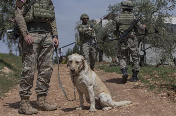 Foto - Mehmetçik'in Afrin'de "patlayıcı" mesaisi