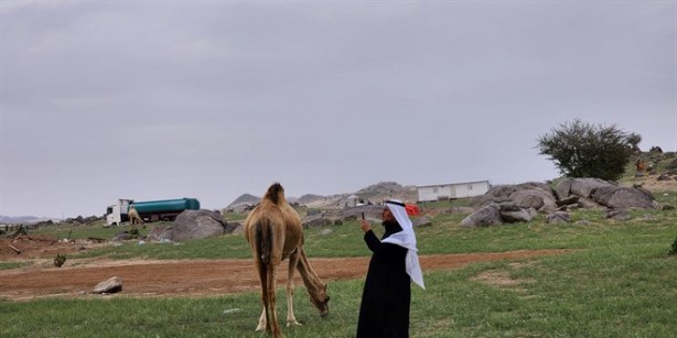 Foto - Mekke'deki dağların yeşile bürünmesi Kıyamet alameti mi? O hadis akıllara geldi... Bilim insanlarından şok açıklama