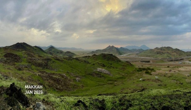 Mekke'deki dağların yeşile bürünmesi Kıyamet alameti mi? O hadis akıllara geldi... Bilim insanlarından şok açıklama