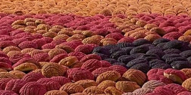 Foto - Meksika’da renkli ekmekten yapılan mozaik resim Guinness Rekorlar Kitabı’na girdi