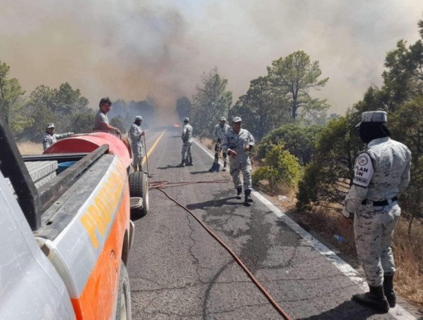 Foto - Meksika’da sıcak hava orman yangınlarını artırdı