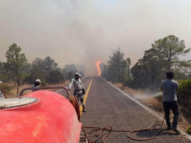 Foto - Meksika’da sıcak hava orman yangınlarını artırdı