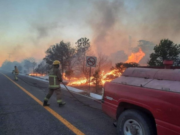 Foto - Meksika’da sıcak hava orman yangınlarını artırdı