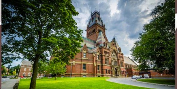 Foto - Meltem Taylan Aydın kimdir nerelidir? Meltem Taylan Aydın hayatı biyografisi