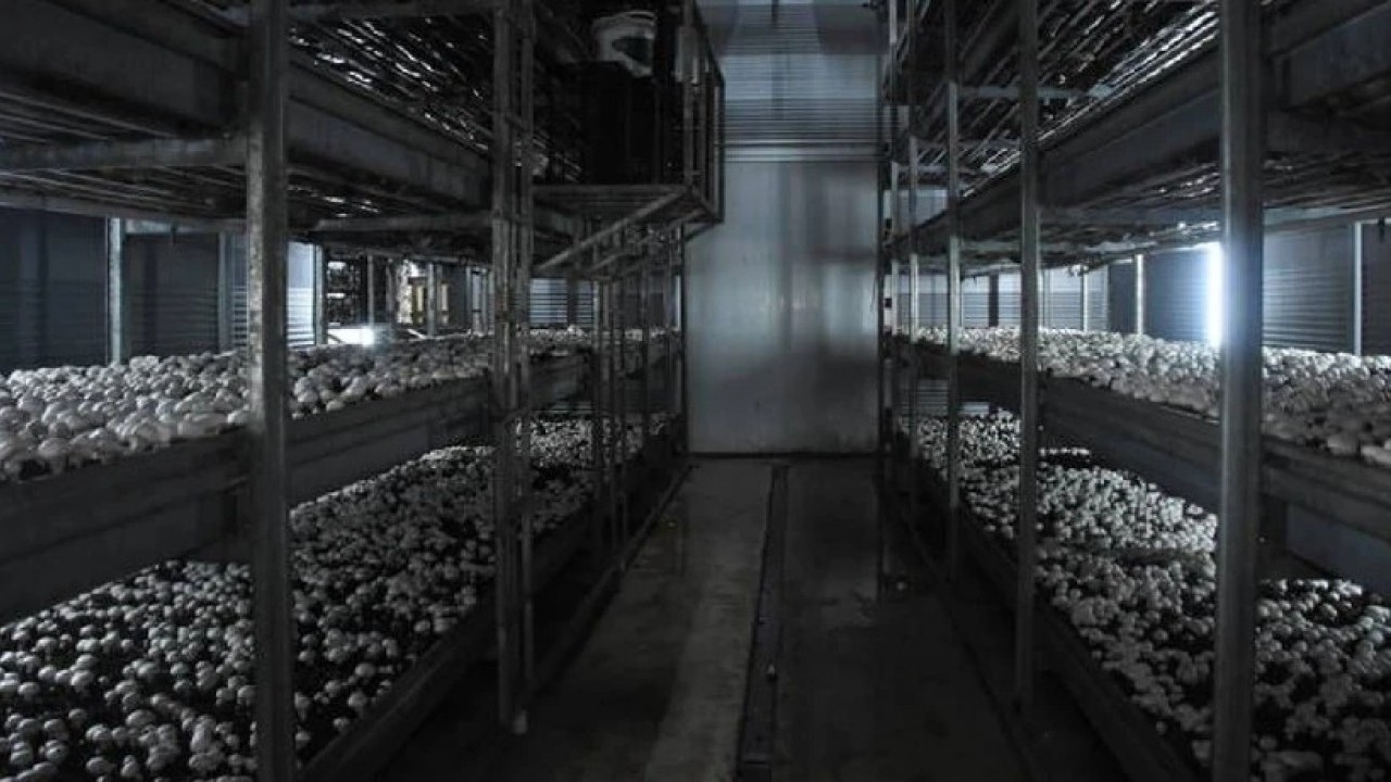 Foto - Memurluğu bırakıp hibe ile zengin oldu! Kendi elektriğini bile üretiyor