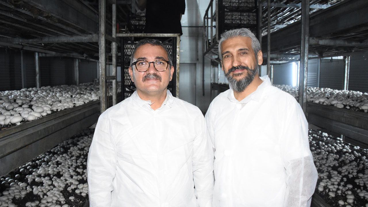 Foto - Memurluktan girişimciliğe! Devletten destek aldı ayda 15 ton mantar üretiyor