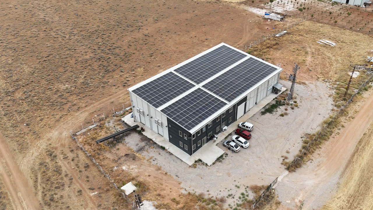 Memurluktan girişimciliğe! Devletten destek aldı ayda 15 ton mantar üretiyor