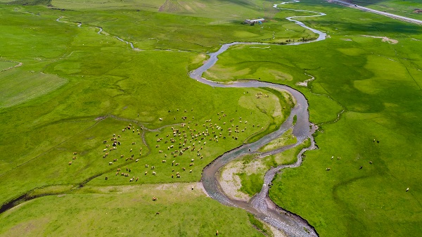 Foto - Menderesler havadan böyle görüntülendi
