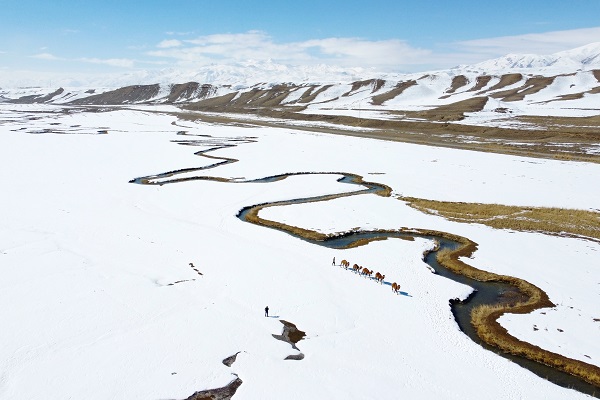 Foto - Mendereslerin güzelliği hayran bıraktı