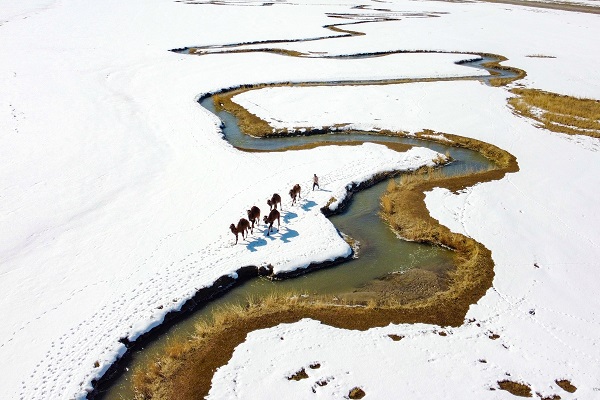 Foto - Mendereslerin güzelliği hayran bıraktı