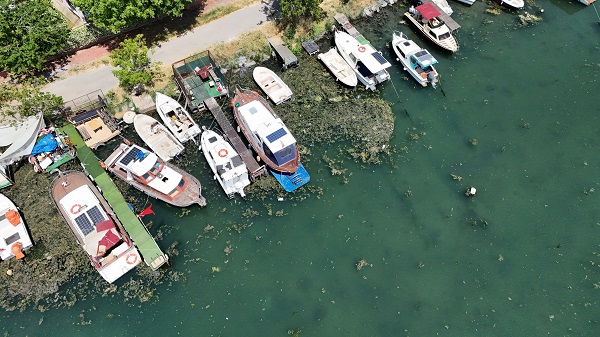 Foto - Menekşe deresi kaderine terk edildi! Marmara Denizi için büyük tehdit