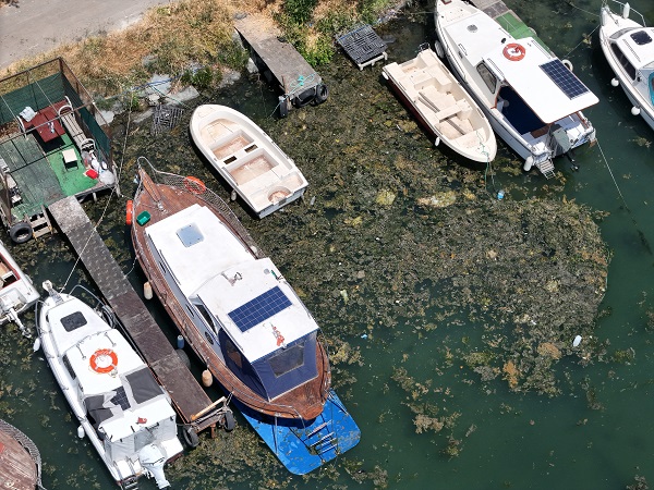 Foto - Menekşe deresi kaderine terk edildi! Marmara Denizi için büyük tehdit