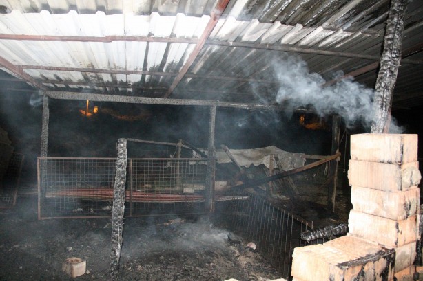 Foto - Menteşe Karabağlar yaylasında yangın