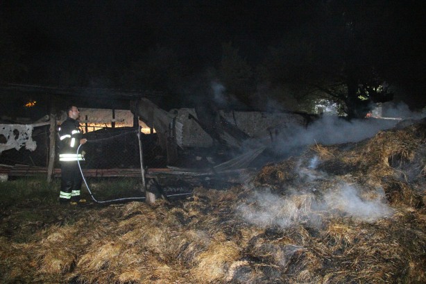 Foto - Menteşe Karabağlar yaylasında yangın