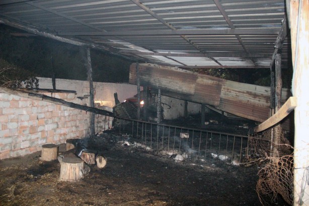 Foto - Menteşe Karabağlar yaylasında yangın