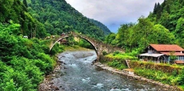 Foto - Merak edilen soru: Herkes kendi memleketinde yaşasaydı illerin nüfusu nasıl olurdu?