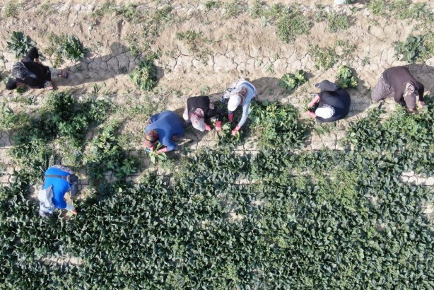 Foto - Meraklı bekleyiş! Yağmur yağmazsa fiyatı fırlayacak