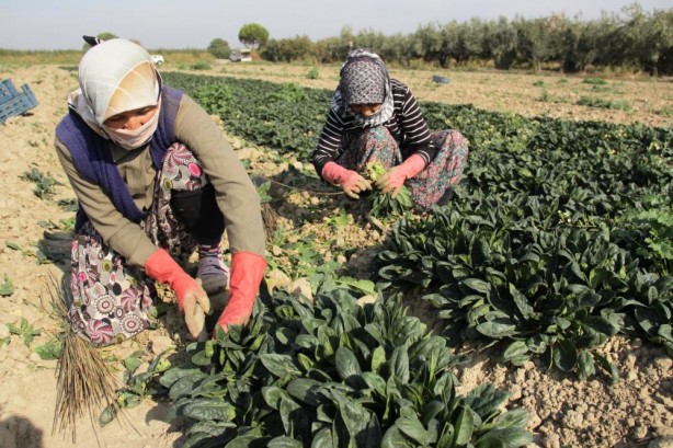 Foto - Meraklı bekleyiş! Yağmur yağmazsa fiyatı fırlayacak
