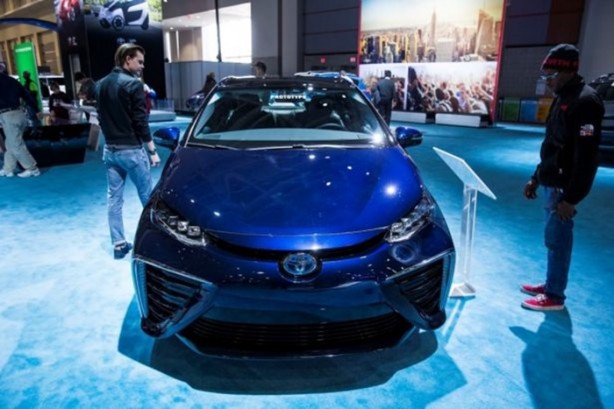 Foto - Meraklıları akın etti!