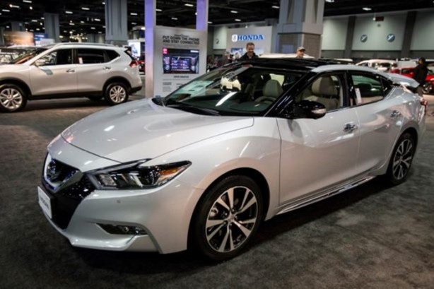 Foto - Meraklıları akın etti!