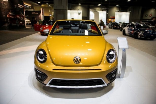 Foto - Meraklıları akın etti!