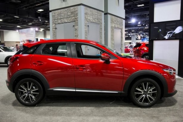 Foto - Meraklıları akın etti!