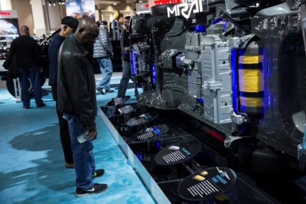 Foto - Meraklıları akın etti!