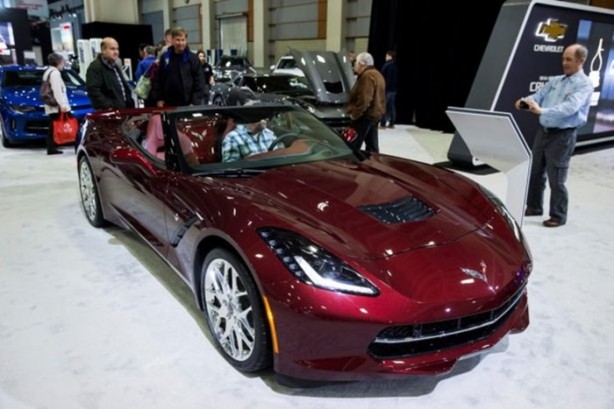 Foto - Meraklıları akın etti!