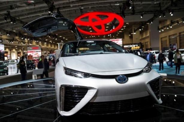 Foto - Meraklıları akın etti!