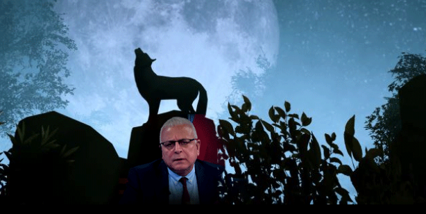 Merdan’ın yalanı elinde patladı! Merih Demiral’i hedef almıştı