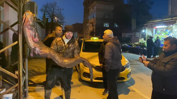 Foto - Meriç Nehri'nde 2 metre, 70 kilo yayın yakaladılar