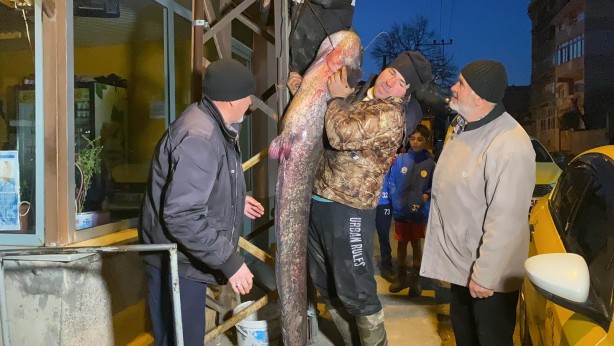 Foto - Meriç Nehri'nde 2 metre, 70 kilo yayın yakaladılar