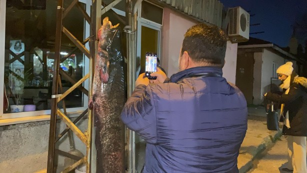 Foto - Meriç Nehri'nde 2 metre, 70 kilo yayın yakaladılar